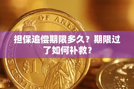 北京担保追偿期限多久？期限过了如何补救？