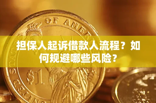 北京担保人起诉借款人流程？如何规避哪些风险？