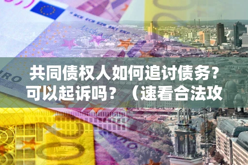 北京共同债权人如何追讨债务？可以起诉吗？（速看合法攻略）